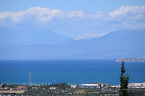 DSC_0235