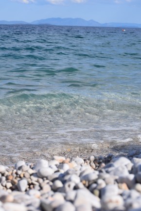 DSC_0296