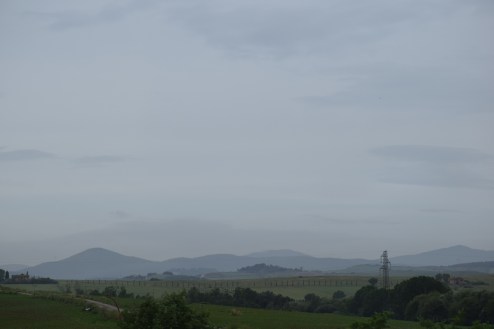DSC_0319