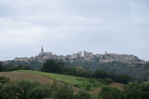 DSC_0346