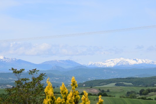 DSC_0398