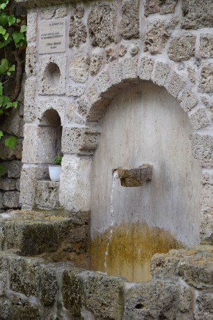 DSC_0458