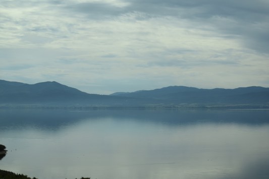 DSC_0481