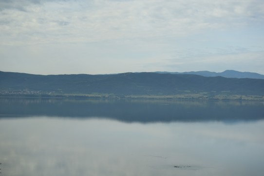 DSC_0490