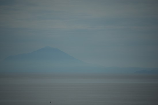 DSC_0500