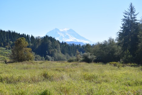 DSC_0213