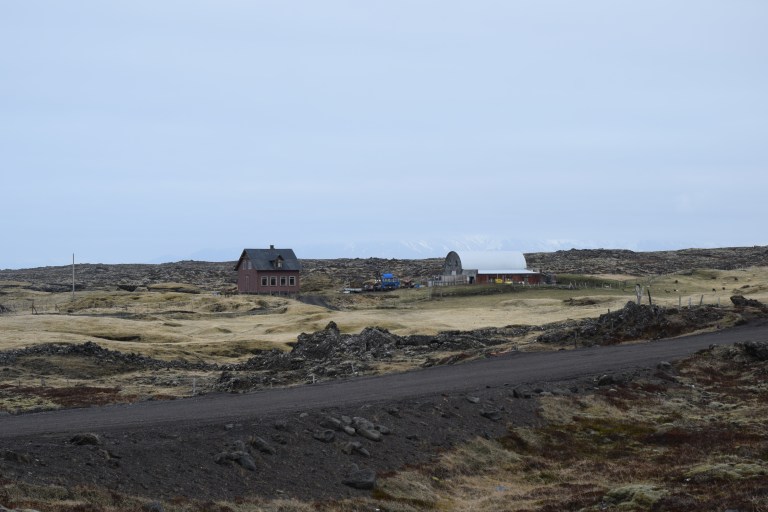 DSC_0007
