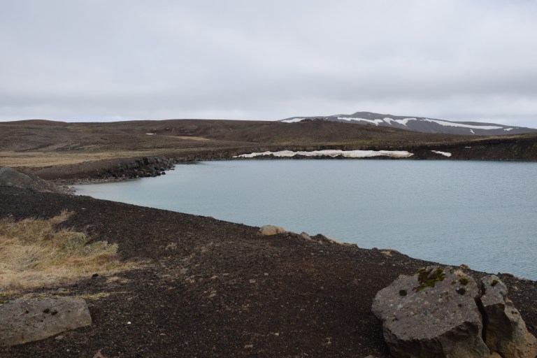 DSC_0019