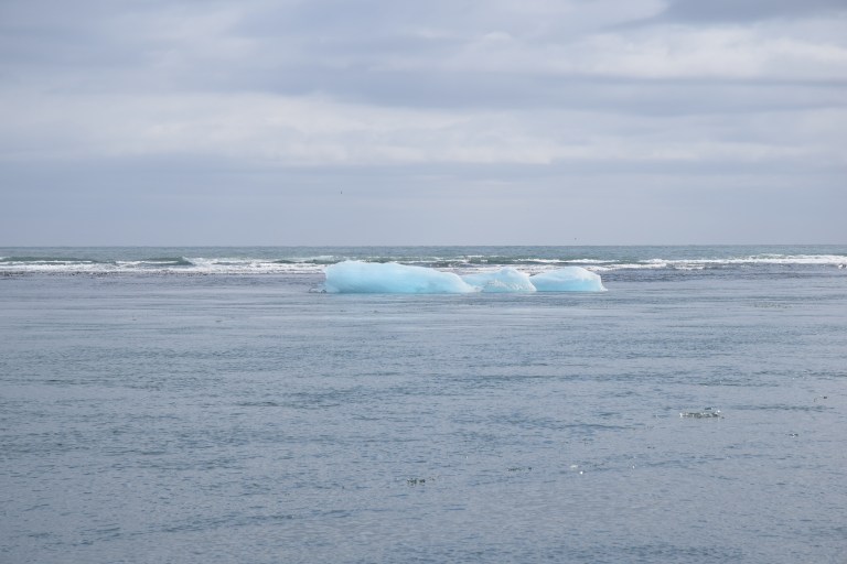 DSC_0177