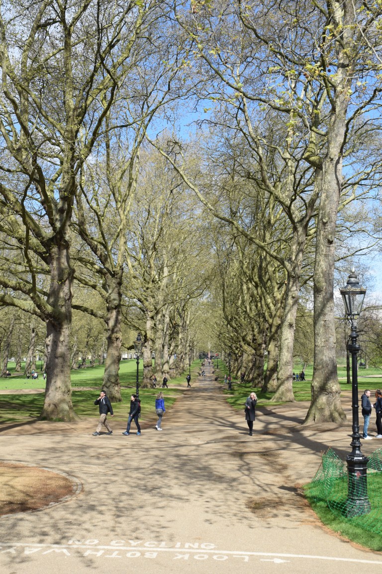 DSC_0308