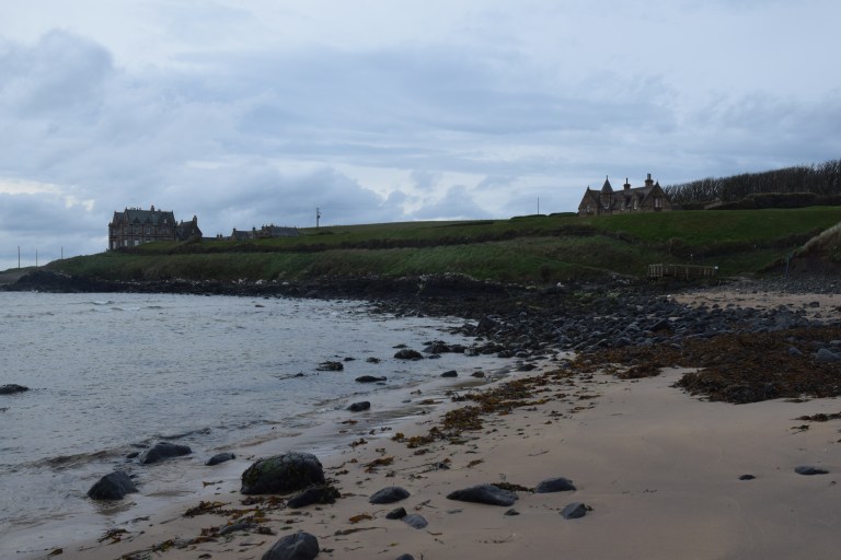 DSC_0433